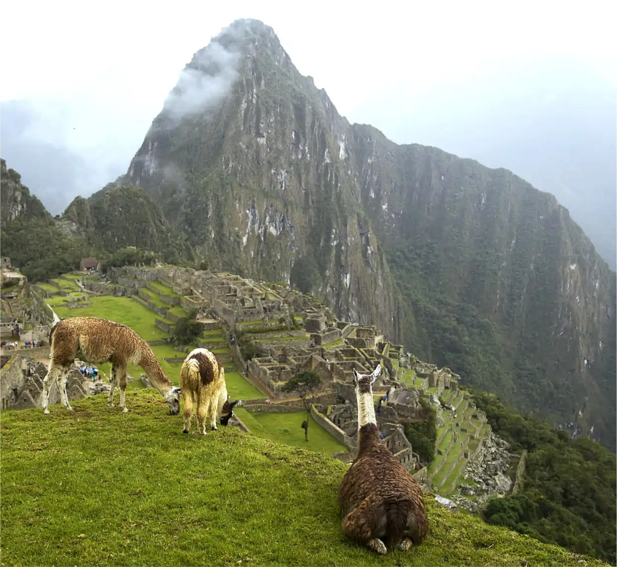  MAGICAL CUSCO & MACHU PICCHU (6D/5N) 