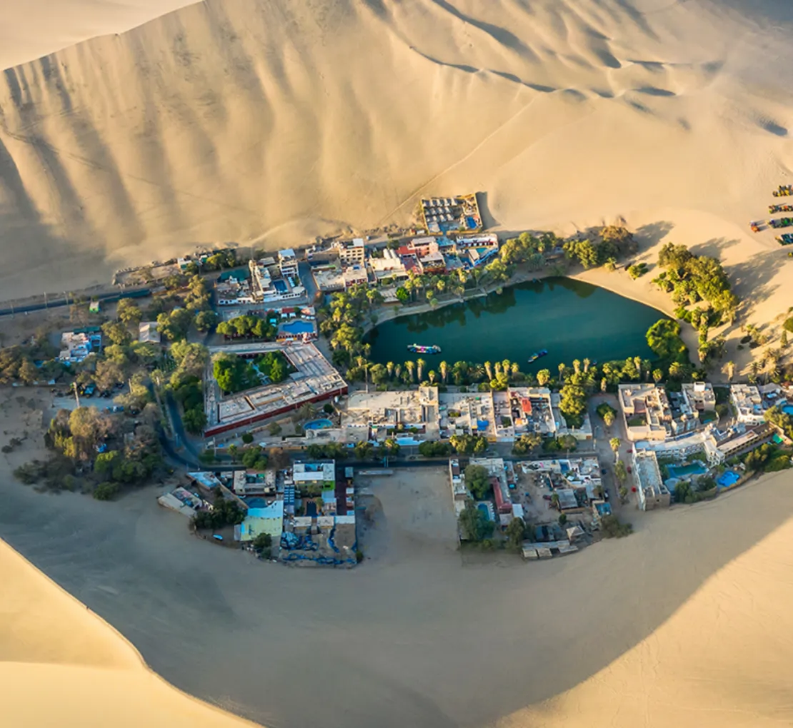  Ballestas Islands and Huacachina Oasis (Full Day) 