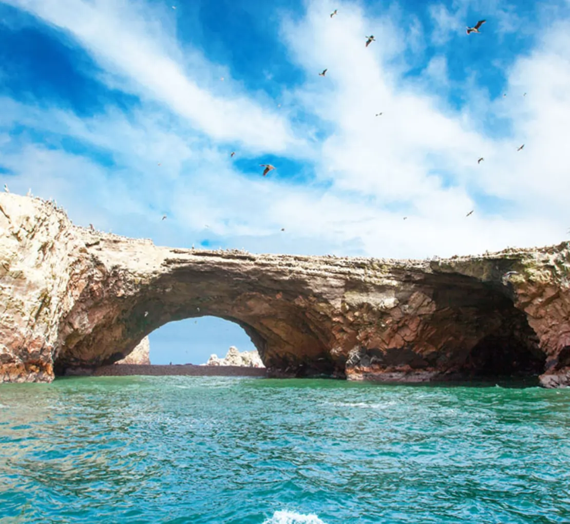  Ballestas Islands and Huacachina Oasis (Full Day) 